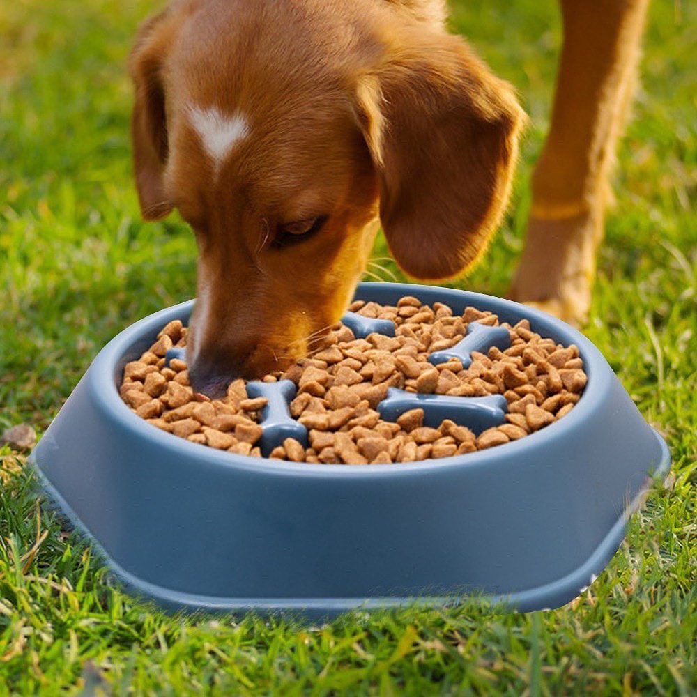 Ciotola Anti Gonfiore E Antisoffocamento Per Cani SlowBowl™