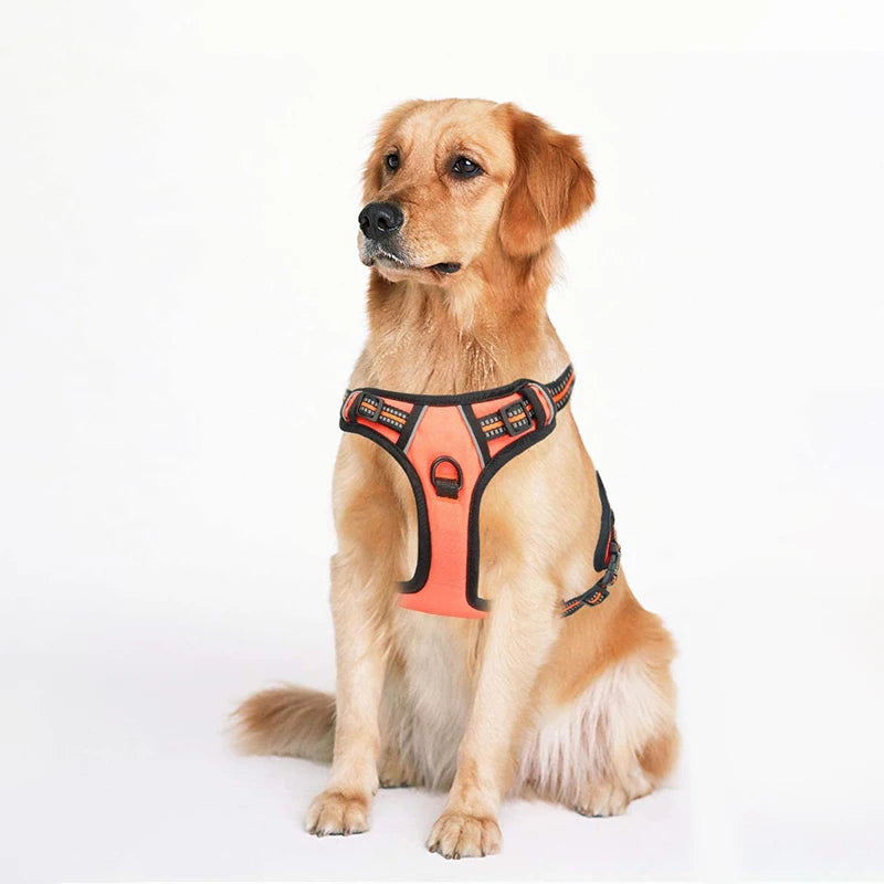 Pettorina Per Cani Titan Harness™