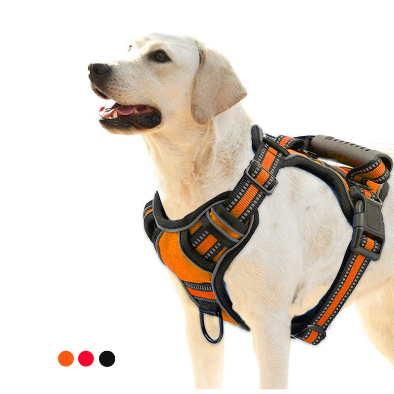 Pettorina Per Cani Titan Harness™